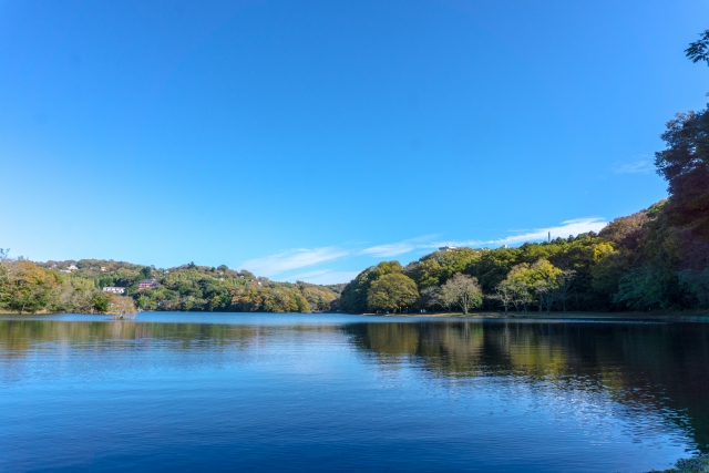 伊豆東部火山群 一碧湖