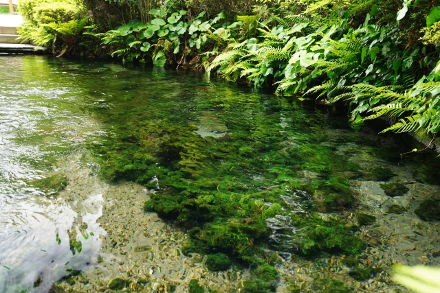 白川水源(出典:PhotoAC)